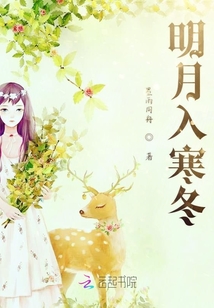 明月入寒冬