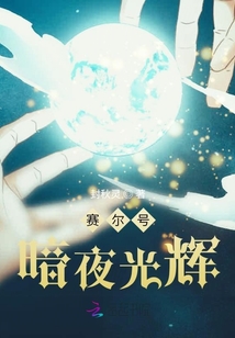 賽爾號暗夜光輝