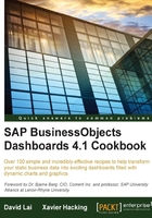 SAP BusinessObjects Dashboards 4.1 Cookbook在线阅读