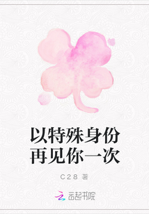 以特殊身份再見你一次