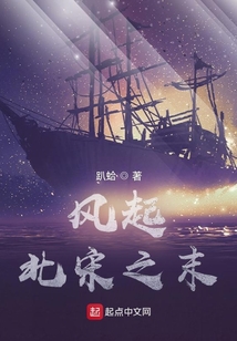 风起北宋之末