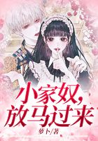 小家奴，放馬過來在線閱讀