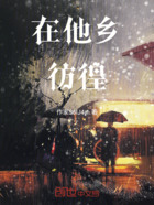 在他乡彷徨在线阅读
