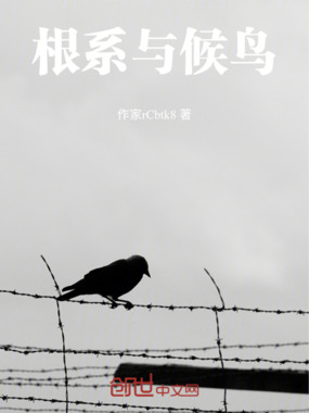 根系与候鸟在线阅读