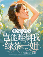 小小年代文，岂能难倒我绿茶一姐在线阅读
