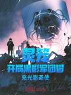 灵笼:开局黑影军团冒充光影圣使在线阅读
