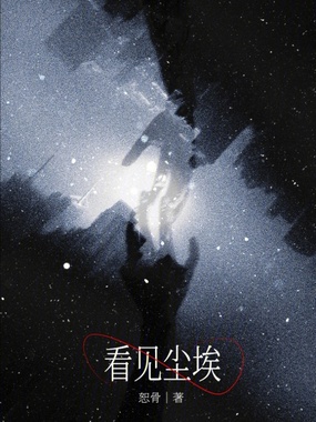 看见尘埃在线阅读