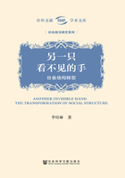 另一只看不见的手：社会结构转型在线阅读