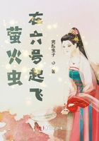 螢火蟲在六號起飛在線閱讀