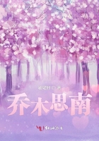 喬木思南在線閱讀