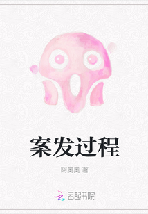 案發過程