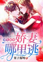 重生暖婚：嬌妻哪里逃在線閱讀