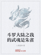 斗罗大陆之我的武魂是朱雀在线阅读