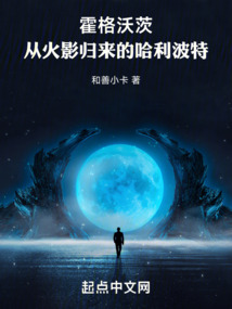 霍格沃茨：從火影歸來的哈利波特