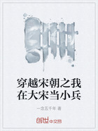 穿越宋朝之我在大宋当小兵在线阅读