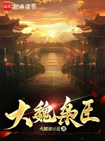大魏枭臣在线阅读