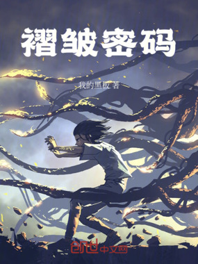 褶皱密码在线阅读