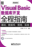 Visual Basic数据库开发全程指南