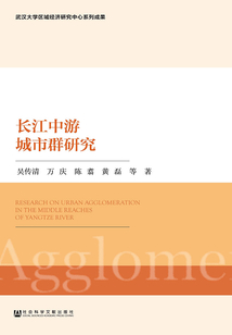 長江中游城市群研究（武漢大學區域經濟研究中心系列成果）