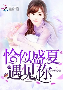 恰似盛夏遇見你
