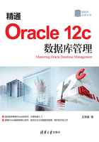 精通Oracle 12c 數(shù)據(jù)庫(kù)管理在線閱讀