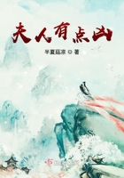 夫人有点凶在线阅读
