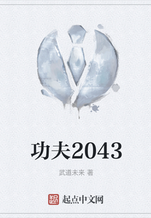 功夫2043