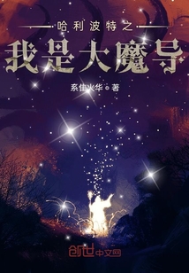 哈利波特之我是大魔导