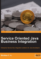 Service Oriented Java Business Integration