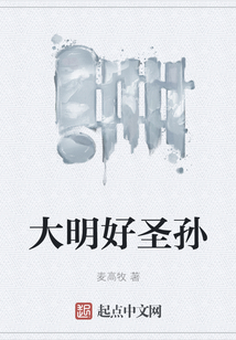 大明好圣孫