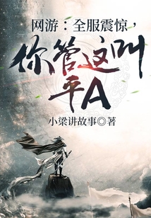 網(wǎng)游:全服震驚,你管這叫平A