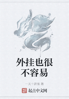 外挂也很不容易在线阅读