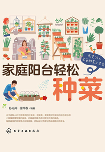 家庭陽臺輕松種菜