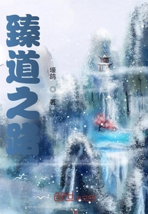 臻道之路
