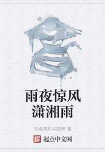 雨夜驚風瀟湘雨