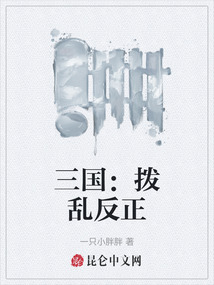 三國(guó)：撥亂反正