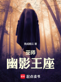 巫師:幽影王座