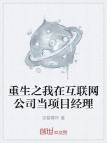 重生之我在互聯網公司當項目經理