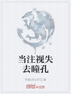 当注视失去瞳孔在线阅读