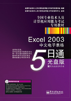 Excel 2003中文电子表格5日通