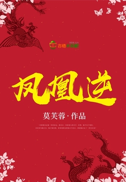 凤凰逆 封面