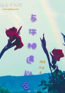 與你相遇以后