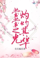 瑩瑩之光灼灼其華在線閱讀