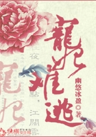 寵妃難逃在線閱讀