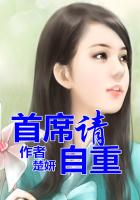 總裁，請自重在線閱讀