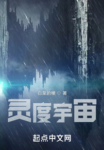 灵度宇宙