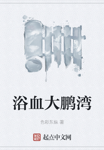 浴血大鵬灣