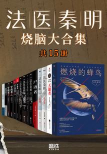 法医秦明烧脑大合集（共15册）