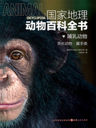 哺乳动物:灵长动物·翼手类(国家地理动物百科全书)在线阅读