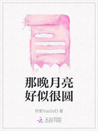 那晚月亮好似很圆在线阅读
